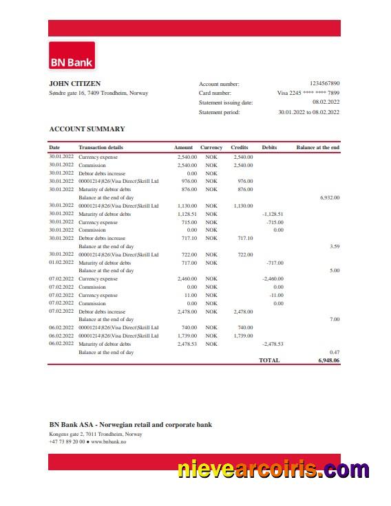 Norway BN Bank statement Excel and PDF